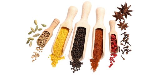 besikci-anasayfa-yazi-yani